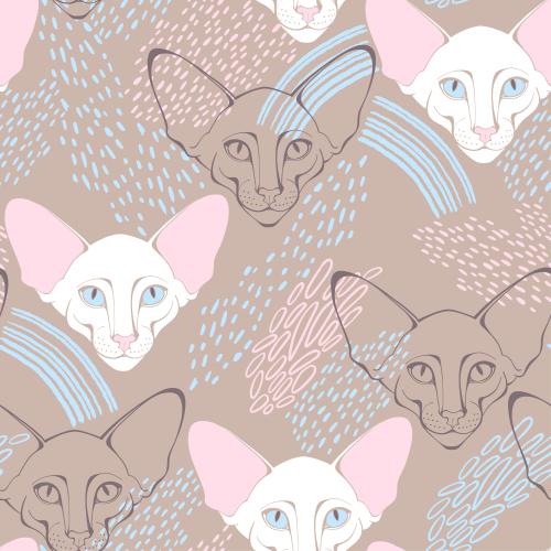 东方猫。矢量图 巴厘猫可爱猫脸装饰碎片浅棕色背景