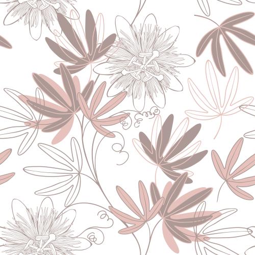 鸡冠花。矢量图 西番莲、白色背景上的花朵和叶子