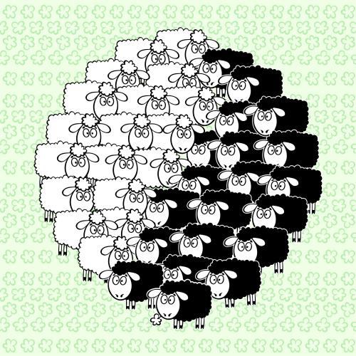 羊羔。矢量图 卡通黑白色小绵羊组成的阴阳符号绿色花底