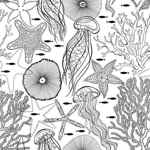 水母。矢量图 海蜇、小鱼、海星、水下生物、白底珊瑚
