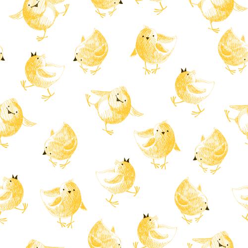 小鸡。矢量图 白底卡通小鸡