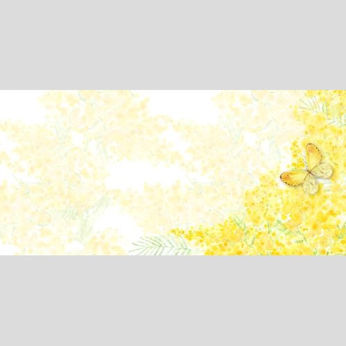原创位图 水彩金合欢和蝴蝶