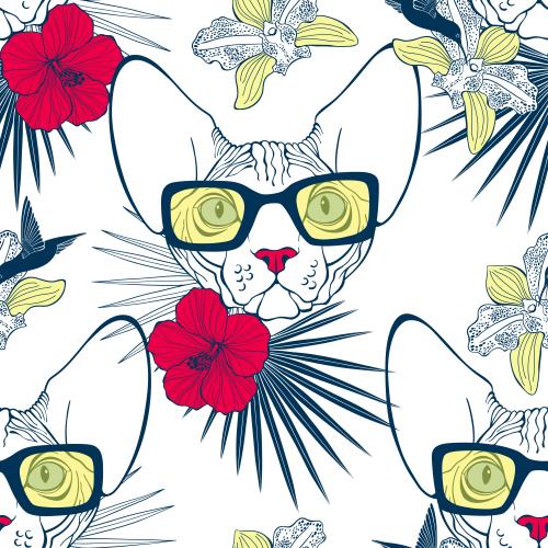 无毛猫。矢量图 戴着太阳镜的斯芬克斯猫，周围有棕榈叶、兰花和木槿花，还有白底上的蜂鸟
