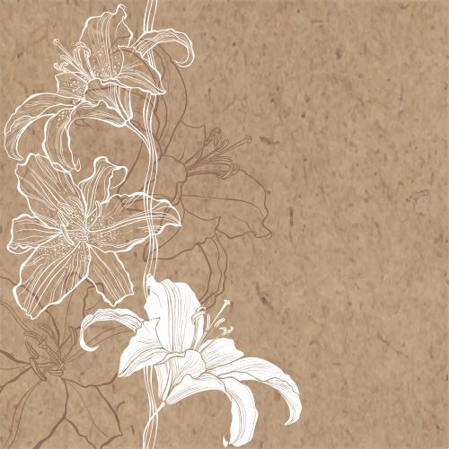 百合。矢量图 百合花工艺文字区