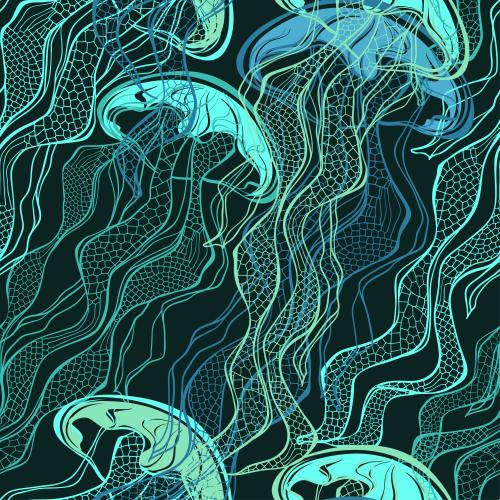 水母。矢量图 彩色轮廓的水母在黑底上