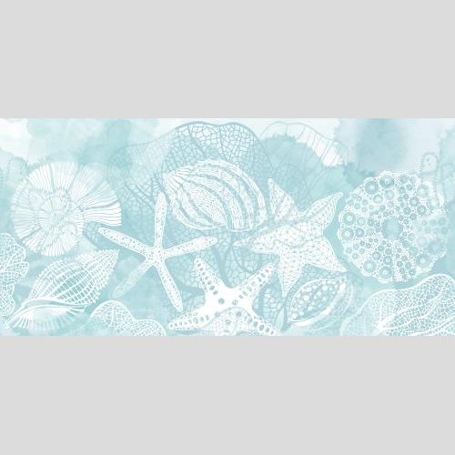 矢量图片 海星, 贝壳, 鹦鹉螺, 海胆, 珊瑚, 蓝底水彩