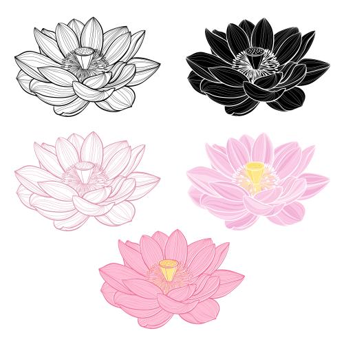 莲花。矢量图 荷花（白色五种不同款式）