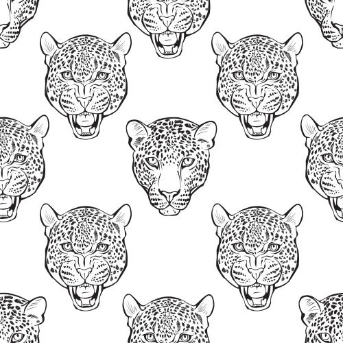 豹子。矢量图 猎豹头部在白色背景上