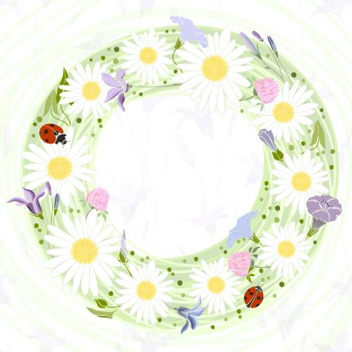 三叶草。矢量图 圆形框带有花朵和瓢虫在花田上