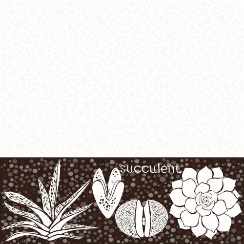 多肉植物。矢量图 棕色波点条纹背景上的多肉植物和白色文字区