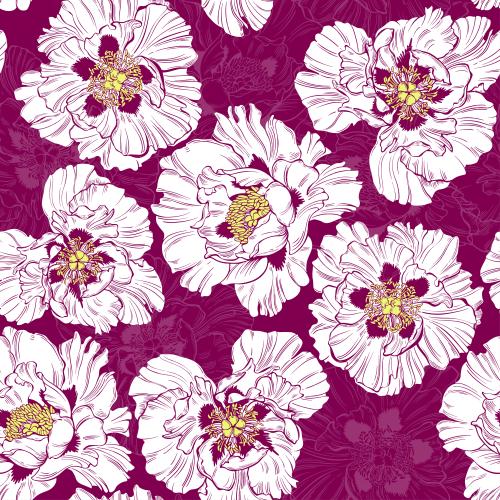 矢量图片 牡丹花、花朵轮廓与彩色剪影