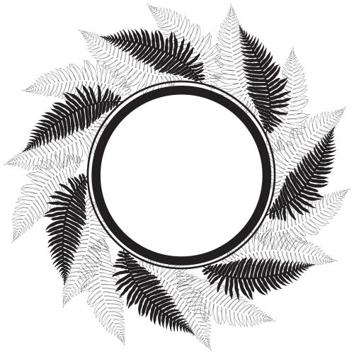 蕨类植物。矢量图 圆形带蕨类植物叶片的相框，白色背景上的黑色轮廓和剪影