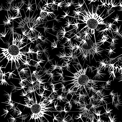蒲公英。矢量图 蒲公英 黑色