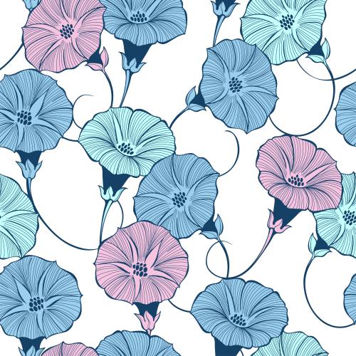 牵牛花。矢量图 牵牛花白底彩纹