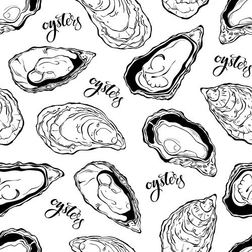 牡蛎。矢量图 白底配 oysters 字样的牡蛎