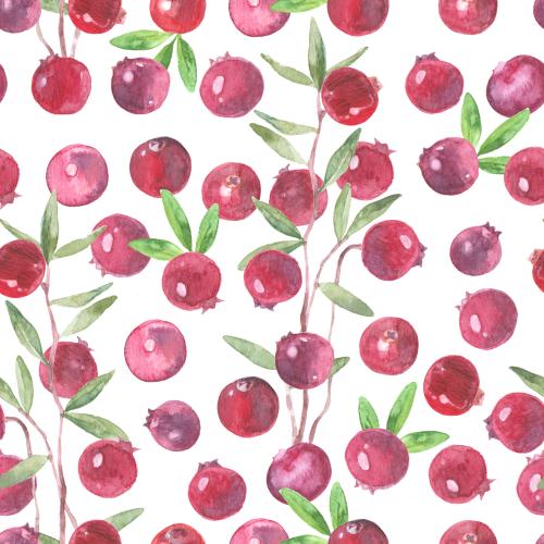 原创位图 白底蔓越莓