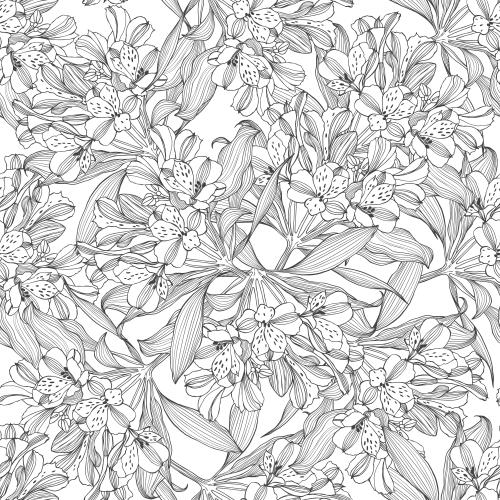 六出花。矢量图 六出花 白底轮廓
