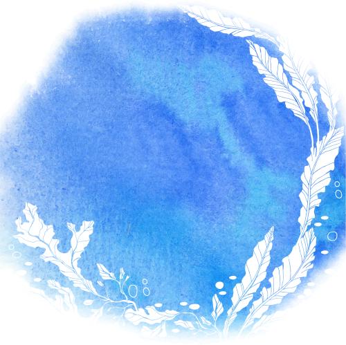 海藻。矢量图 白色海藻轮廓 蓝色水彩 圆形留白区