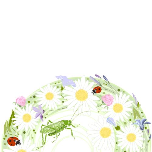 昆虫。矢量图 花、昆虫、白色背景文字位置