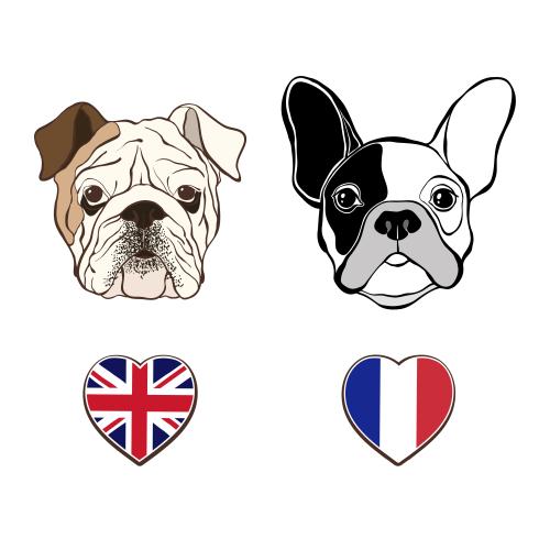 旗帜。矢量图 英国斗牛犬头及法国斗牛犬头与心形英国和法国国旗