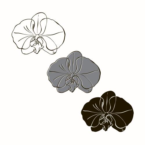矢量图片 白底兰花 三种款式