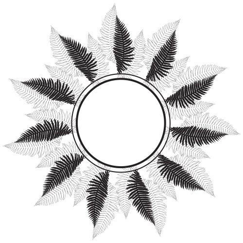 蕨类植物。矢量图 圆形相框带蕨类植物叶子，白色背景上的黑色轮廓和剪影