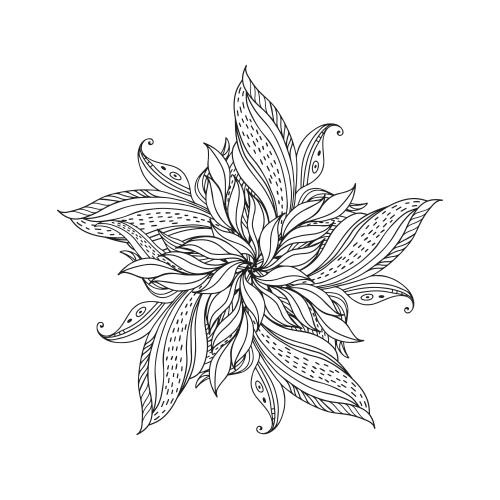 矢量图片 白底装饰花曼达拉