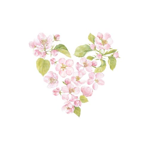 原创位图 水彩苹果花叶植物图案心形白底