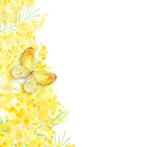 原创位图 水彩南欧紫荆,蝴蝶及白色背景上的文字空间