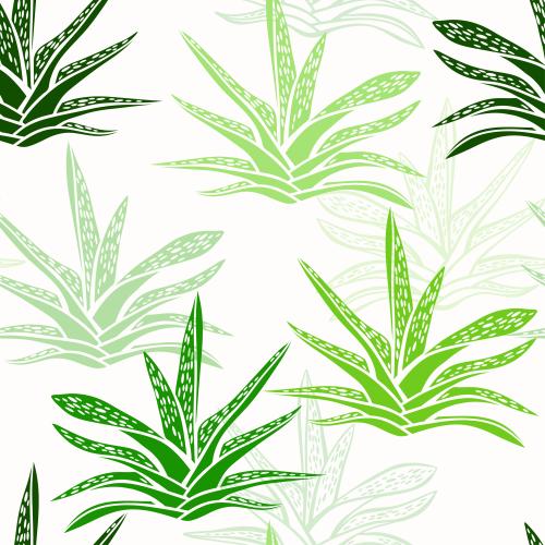 矢量图片 绿色多肉植物剪影与轮廓白底设计
