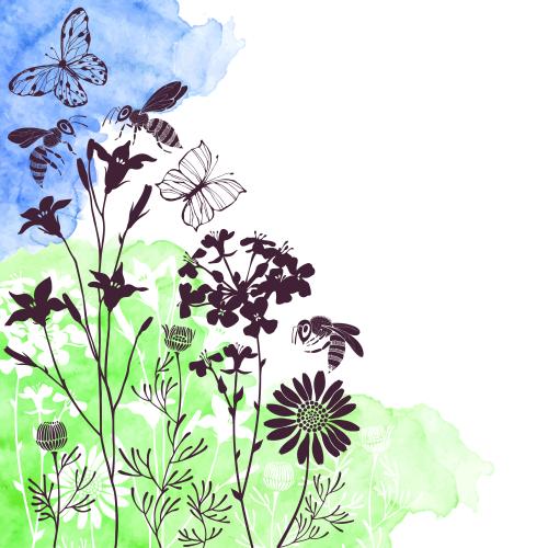 蜜蜂。矢量图 蝴蝶-蜜蜂-草原花朵-蓝绿水彩碎片-文字区域-白色背景上的剪影
