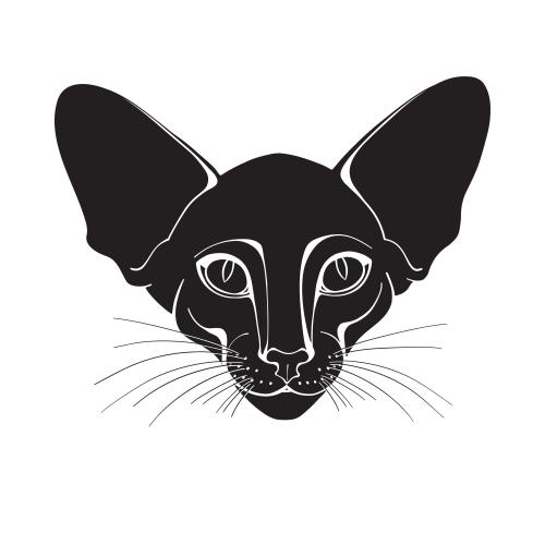 东方猫。矢量图 东方猫脸剪影白色背景
