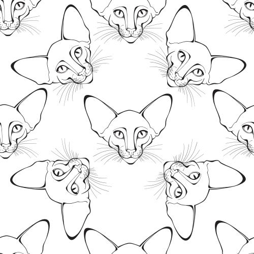 东方猫。矢量图 东方猫白底猫脸