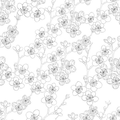樱花。矢量图 盛开的樱花白色轮廓图案