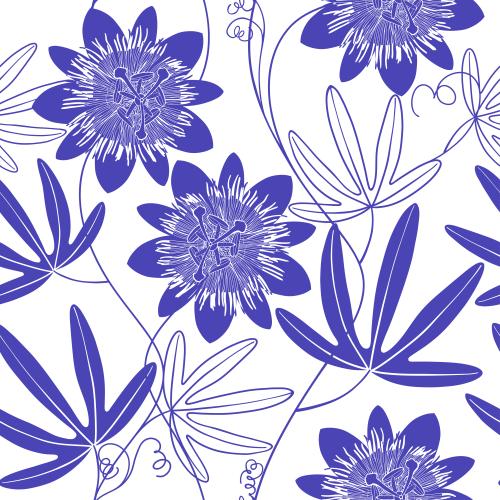 鸡冠花。矢量图 西番莲、花朵和叶子、白色背景上的紫色剪影和轮廓
