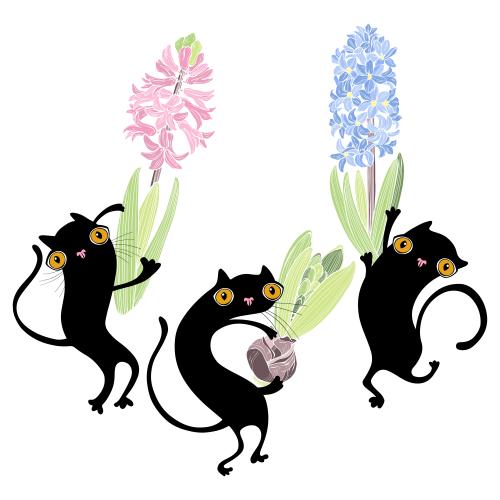 矢量图片 三个黑色卡通猫与风信子