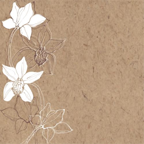 兰花。矢量图 兰花，牛皮纸上的文字空间
