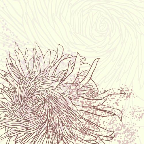 菊花。矢量图 菊花肌理元素和文字区域