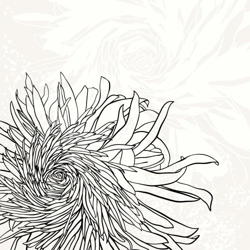 菊花。矢量图 浅色背景菊花轮廓剪影