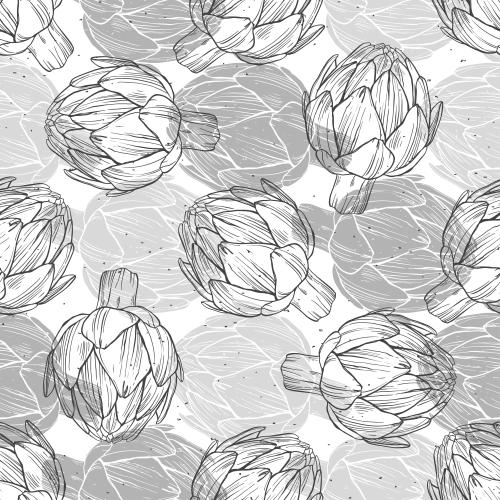 朝鲜蓟。矢量图 洋蓟、轮廓与剪影白底
