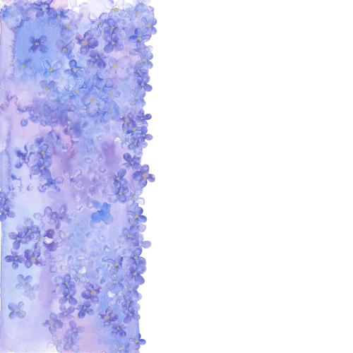 原创位图 装饰性水彩带，带造型紫丁香，白色文字区域