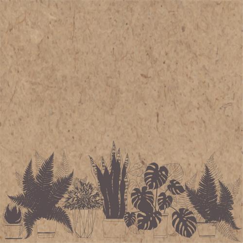 仙人掌。矢量图 带牛皮纸文字区的盆栽植物