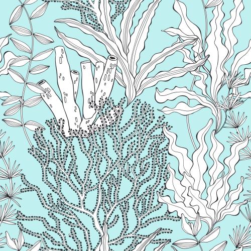 矢量图片 蓝海藻与珊瑚