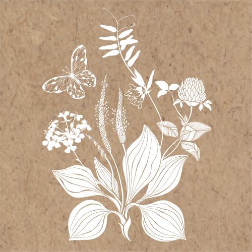 油菜花。矢量图 车前草、三叶草、野花、蝴蝶、卡纸贴画