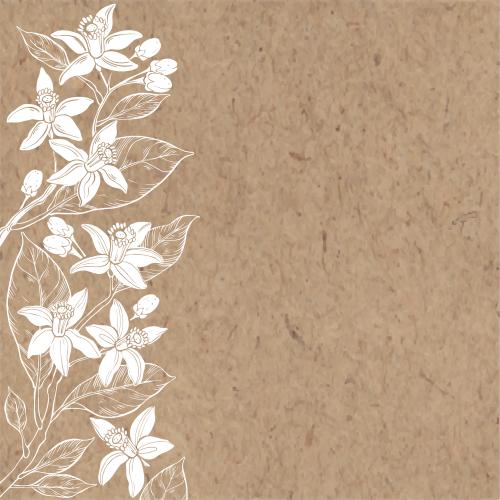 苦橙花油。矢量图 香橙花-牛皮纸文字空间