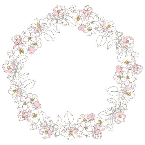 苹果花。矢量图 白色苹果花圆形相框