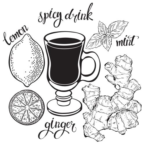 柑橘类。矢量图 柠檬, 薄荷, 生姜, 杯子, 文字：spicy, tea, mint, ginger, lemon 在白色背景上