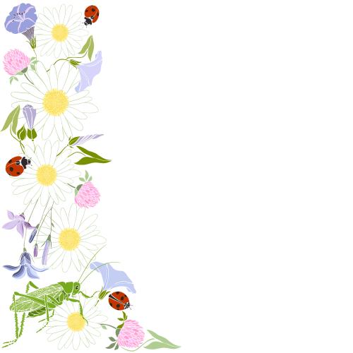 花卉。矢量图 雏菊、风铃草、三叶草、牵牛花、瓢虫、蚱蜢、白色文字区域