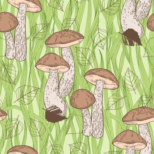 矢量图片 桦树蘑菇, 桦树叶, 青草药