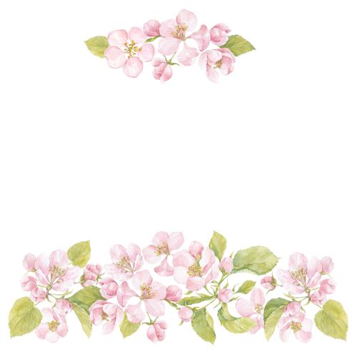 原创位图 水彩苹果树枝叶图案白色背景上的文字区域